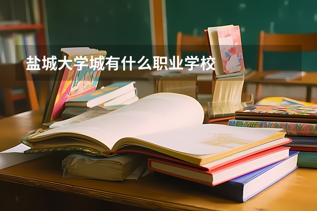 盐城大学城有什么职业学校